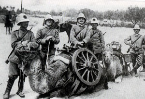 Fotografia da "Gli italiani in guerra", volume II